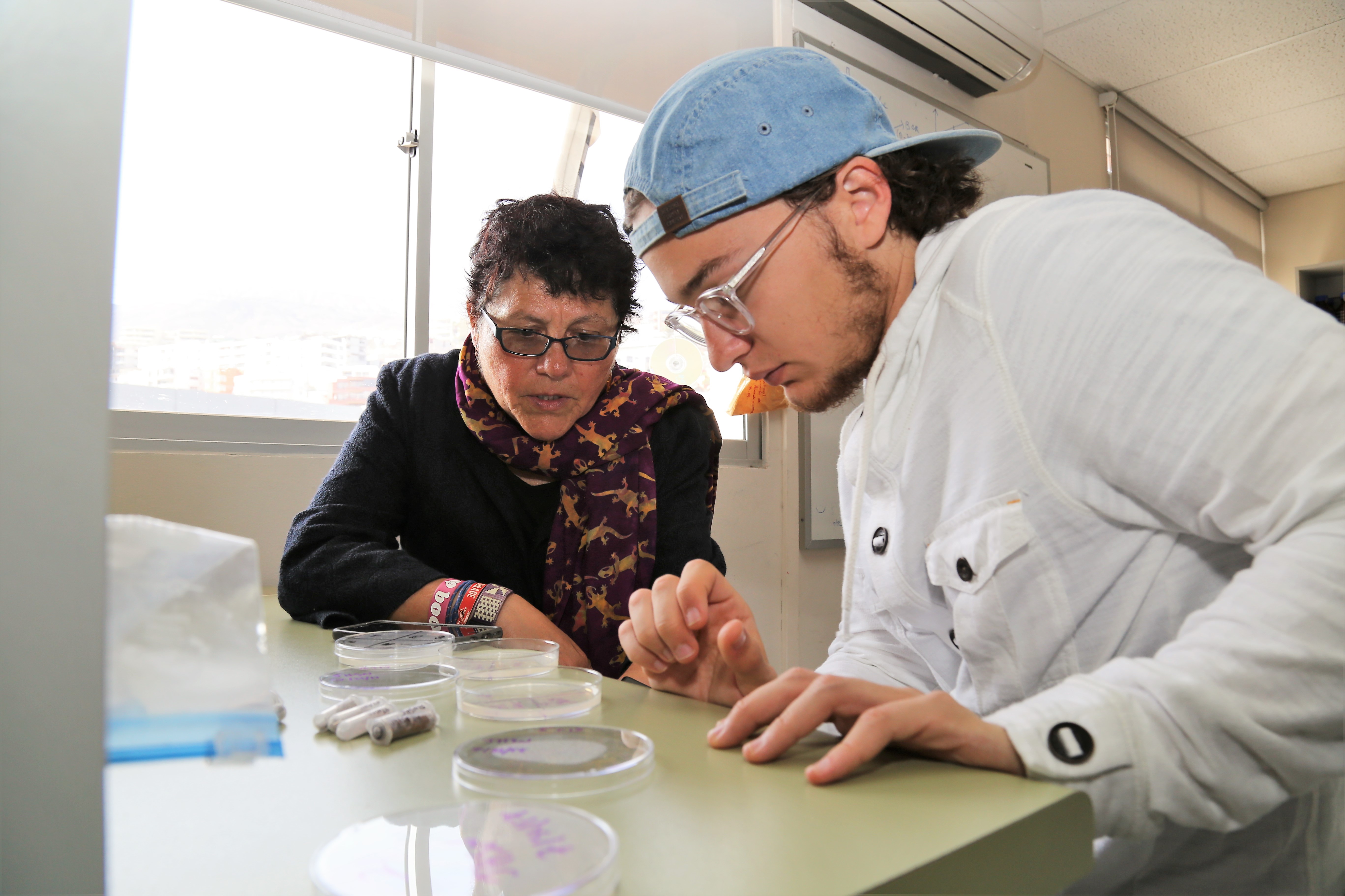 Student works on research