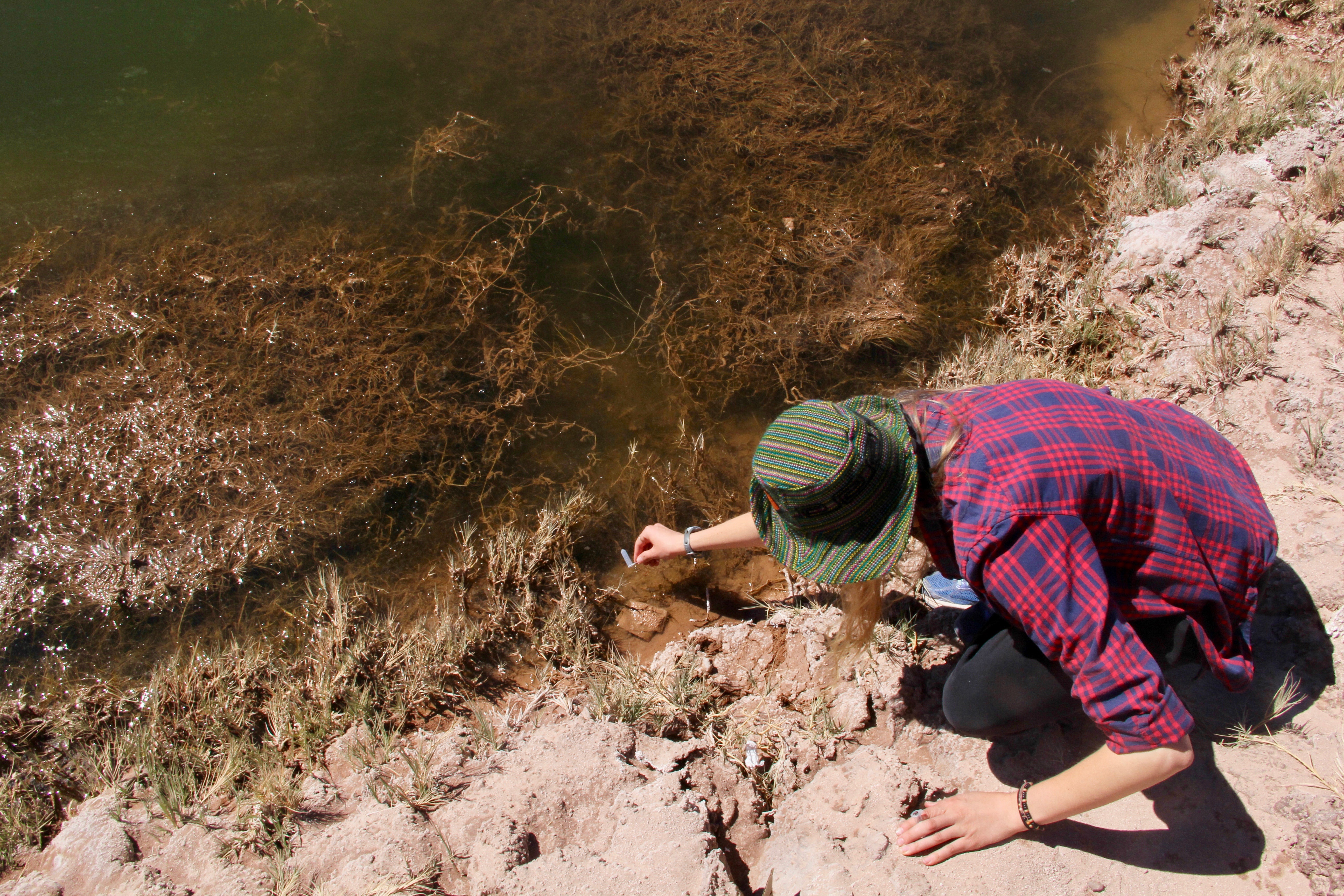 A student gathering samples in Chile