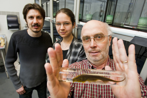 Günther Zupanc with research associates Ruxandra Sîrbulescu and Iulian Ilies.