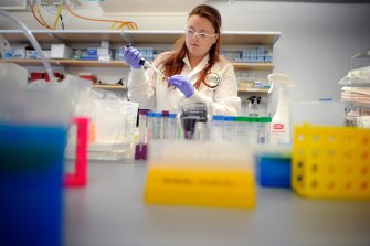 Julie MacDonald, a graduate student in the College of Science, conducts research in the Laboratory for Aging and Infertility Research in the Mugar Life Sciences Building on Friday. Photo by Matthew Modoono/Northeastern University