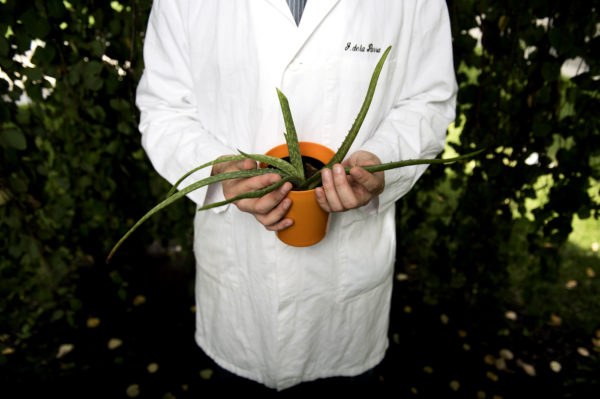 07/28/17 - BOSTON, MA. - John de la Parra, PhD Candidate in the Department of Chemistry and Chemical Biology, poses for a portrait on July 28, 2017. His interest is ethnobotany and the chemistry of medicinal plants through coordination with research institutions, public education, as well as innovative and integrative scientific pursuits in the areas of economic botany, pharmacognosy, ethnopharmacology, chemical biology, biotechnology, and analytical chemistry. Photo by Matthew Modoono/Northeastern University