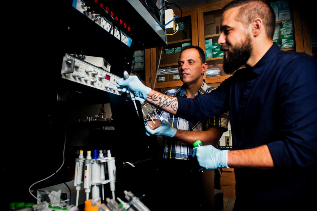 Meni Wanunu, associate professor of physics, and his post doctoral student Robert Henley are using carbon nanotubes as a filter to desalinate water. Their new paper shows the method works better than any other existing process. Photo by Adam Glanzman/Northeastern University