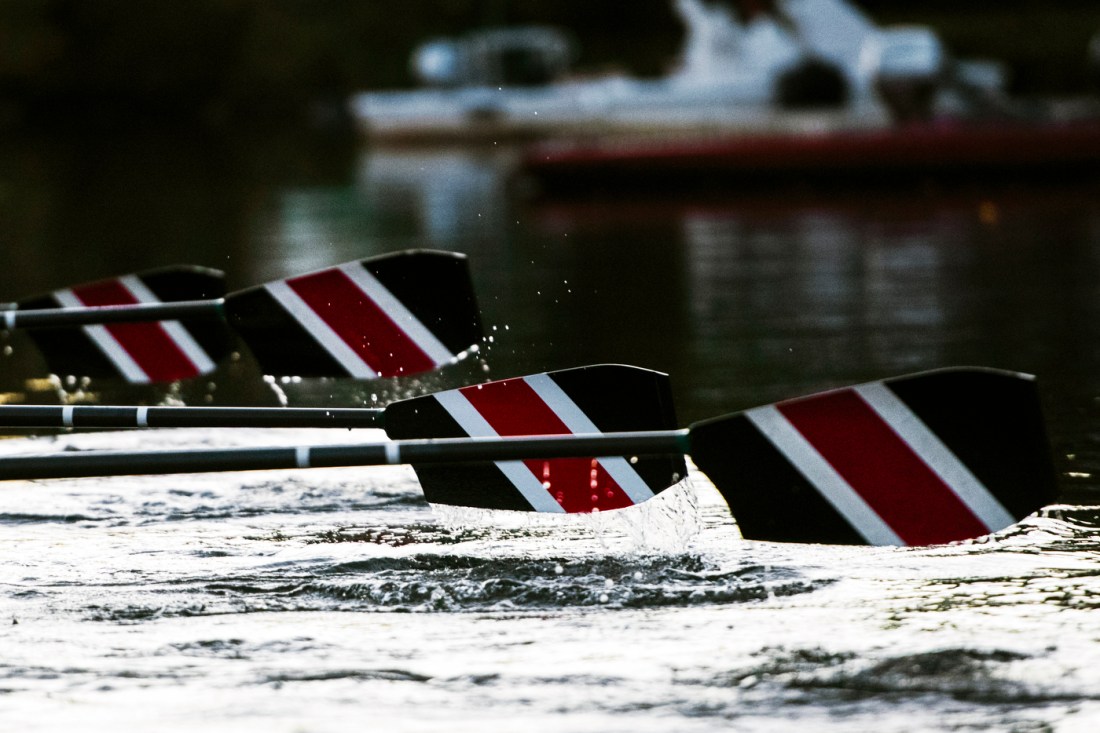 Red, white, and black rowing oars hovering over water.