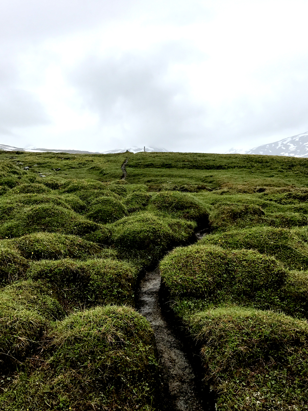 Climate Run landscape