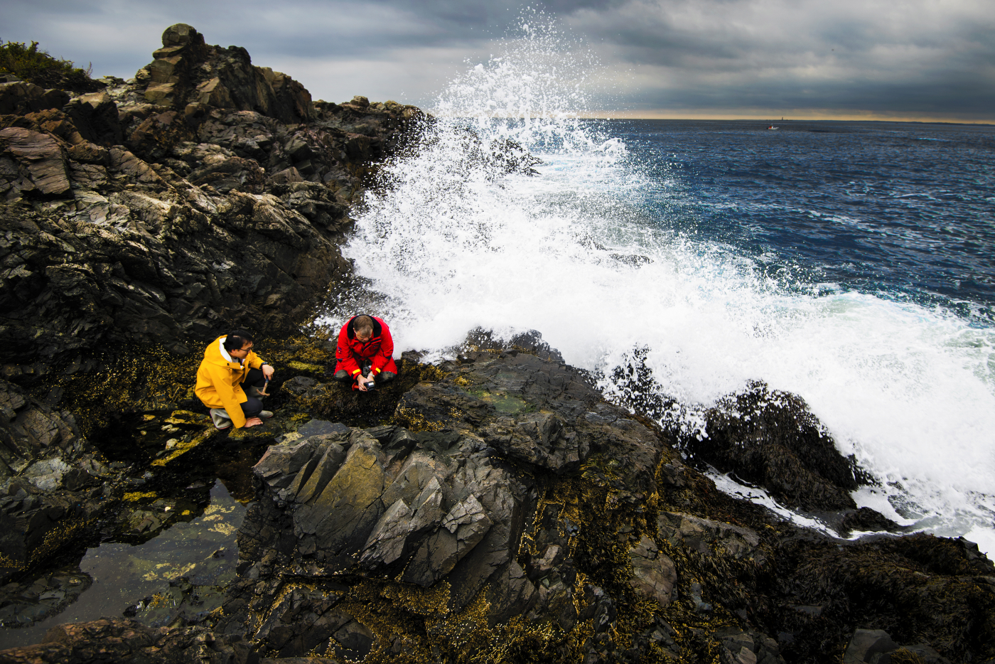 Understanding climate change is hard work. These robotic mussels are doing the heavy lifting.