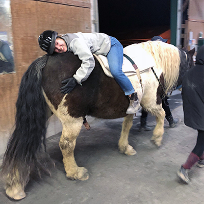 Capital Area Therapeutic Riding Association