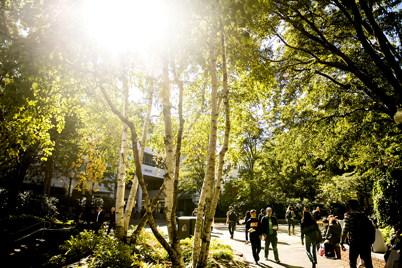 Northeastern University to invest a record $340M in financial aid for students in 2019-20