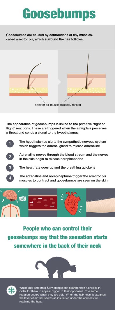 Goosebumps infographic