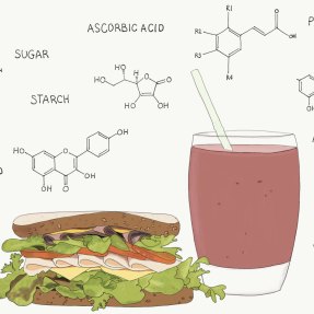 graphic of food and molecules