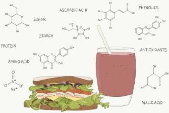 graphic of food and molecules