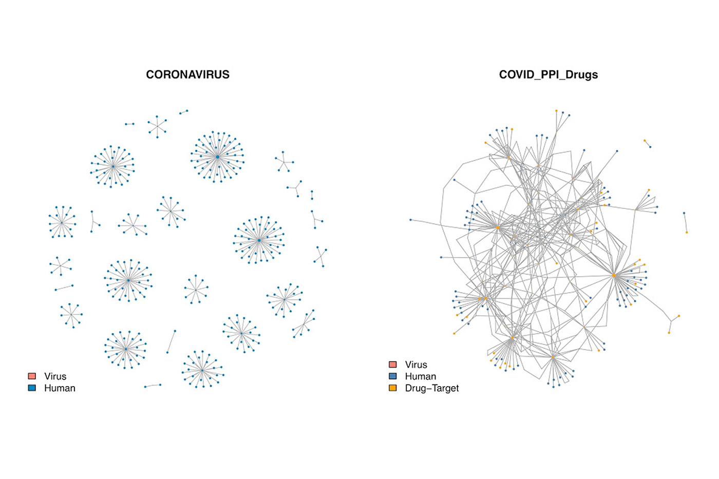 Network scientists identify 40 new drugs to test against COVID-19