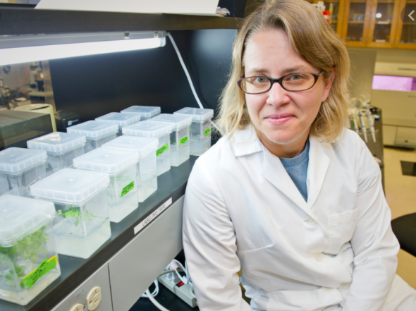 Erin Cram in her lab.