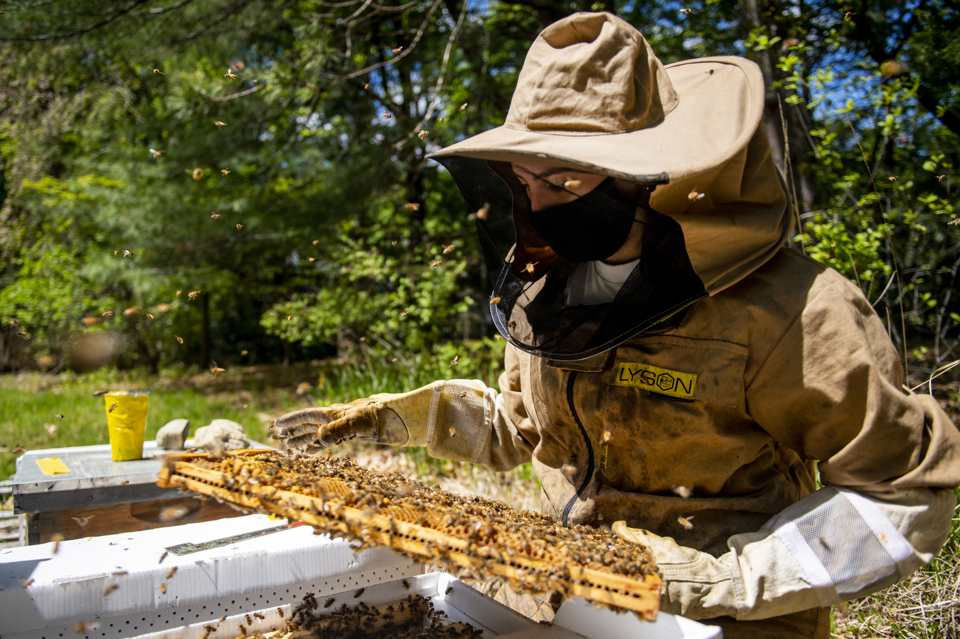 Woman in bee keeper suit looking at beehive fram