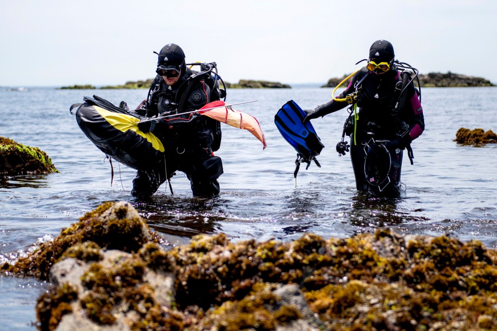 NAHANT, Mass. Northeastern students Jaxon Derow and Sahana Simonetti gather mussels for a research project at Northeastern’s Marine Science Center.