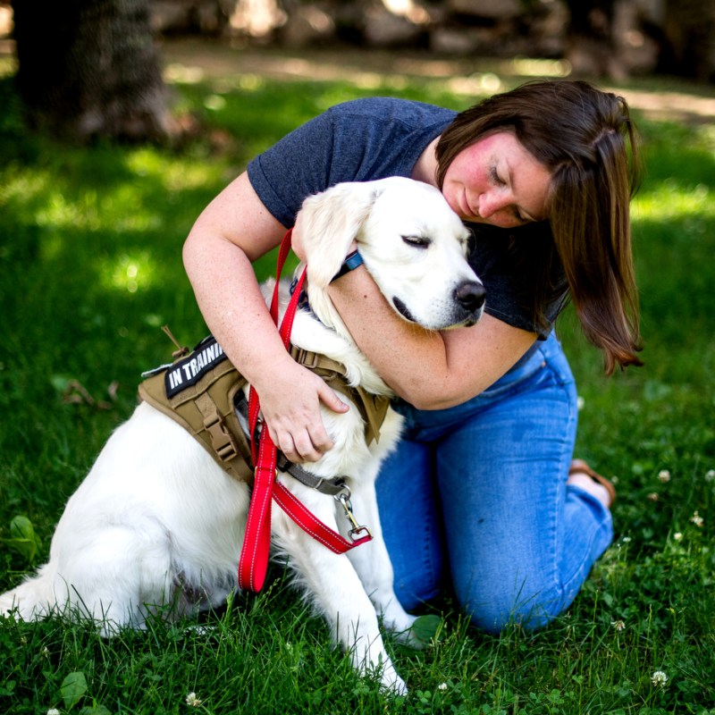 Cooper the campus pup is growing up