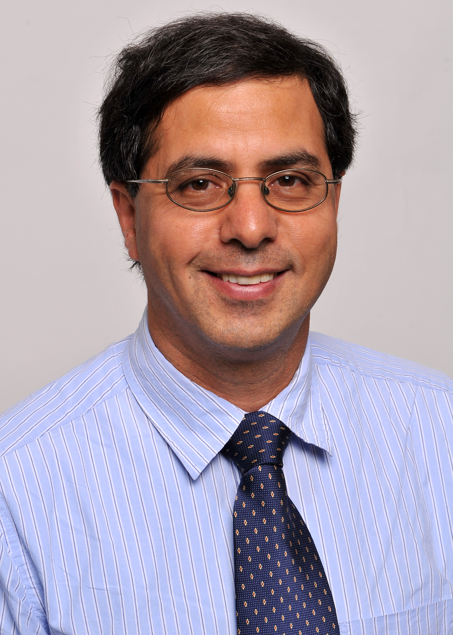A portrait of Mehrdad Sasani, a professor of civil and environmental engineering at Northeastern.