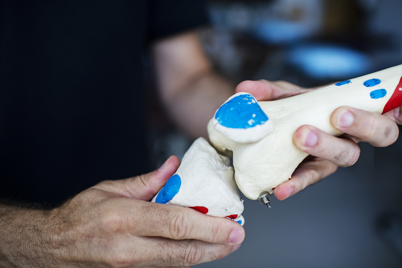 Alexandre Lopes works with a model of a human knee.