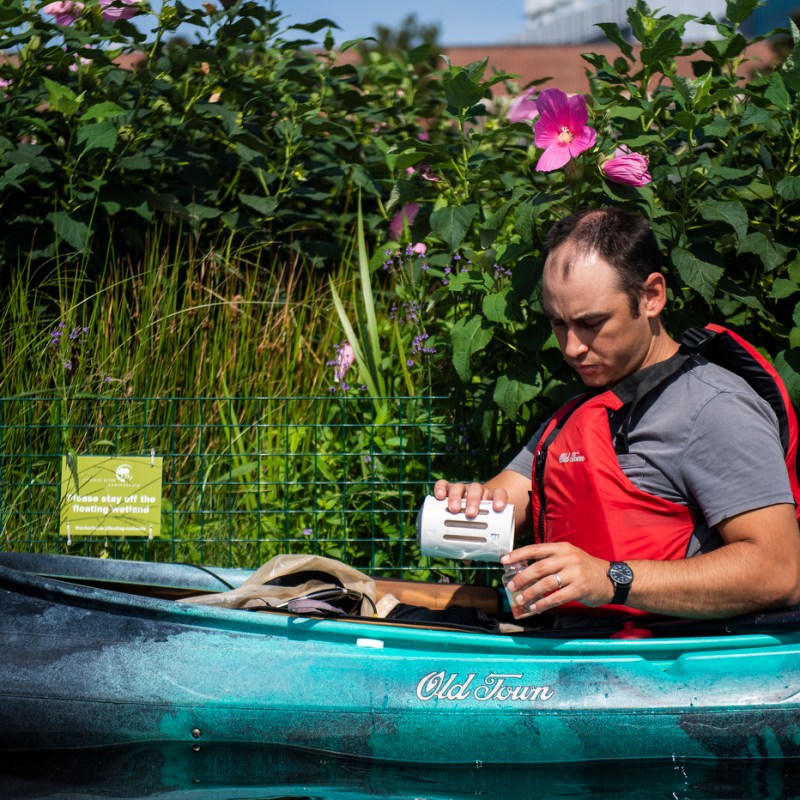 How can we reduce river pollution? Floating wetlands.