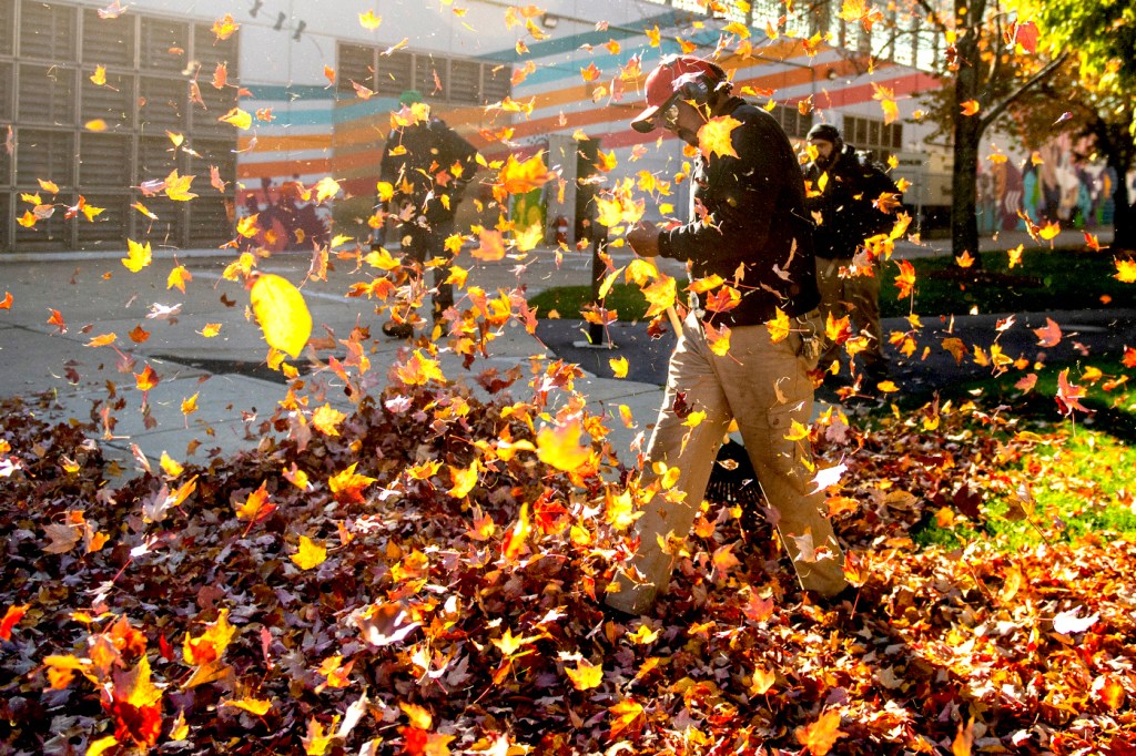 man raking leaves