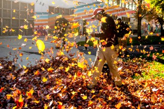 man raking leaves