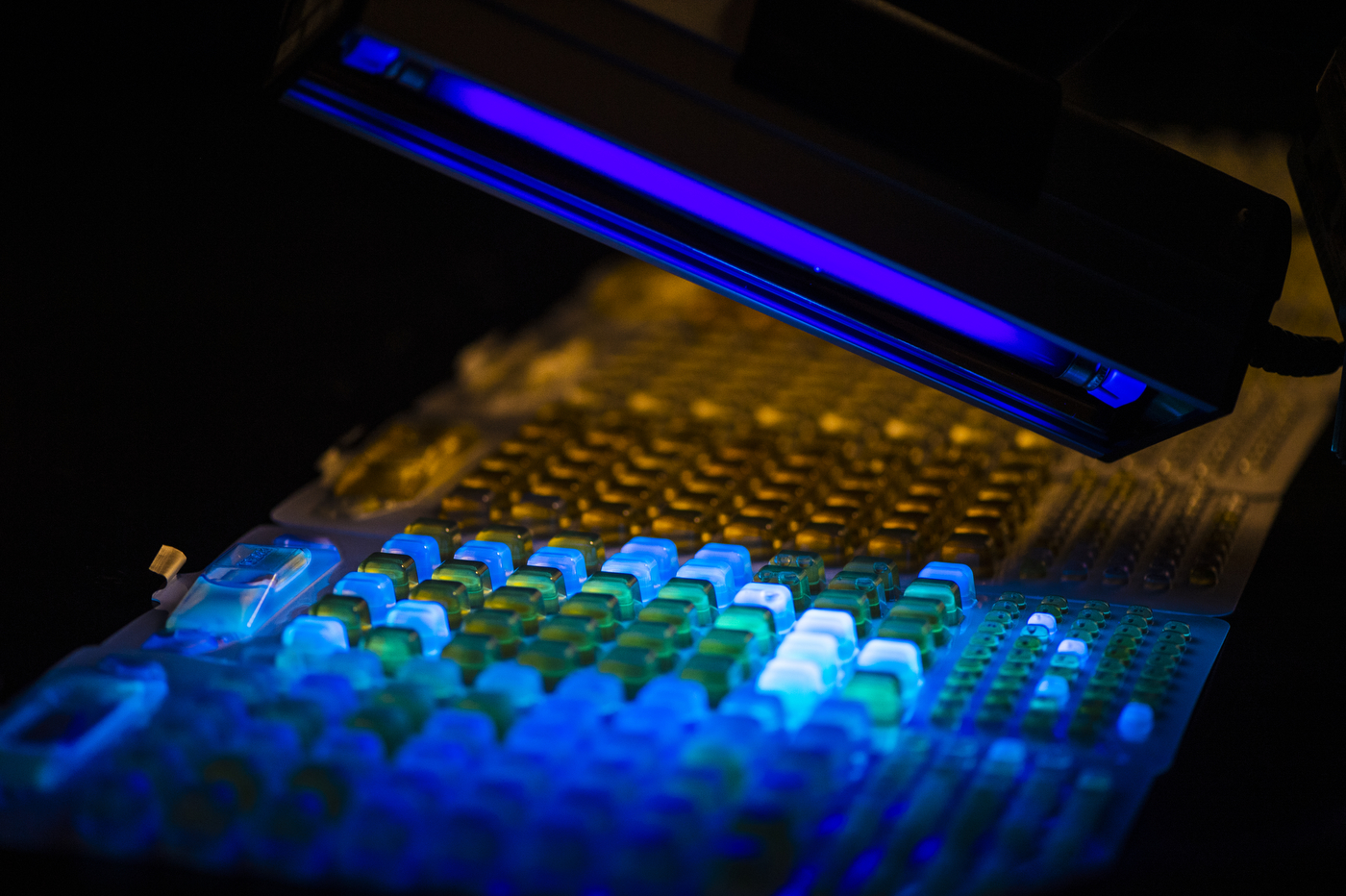 Assistant Professor of Civil and Environmental Engineering Kelsey Pieper uses a black light to look for signs of Ecoli in water samples at her lab in Snell Engineering.