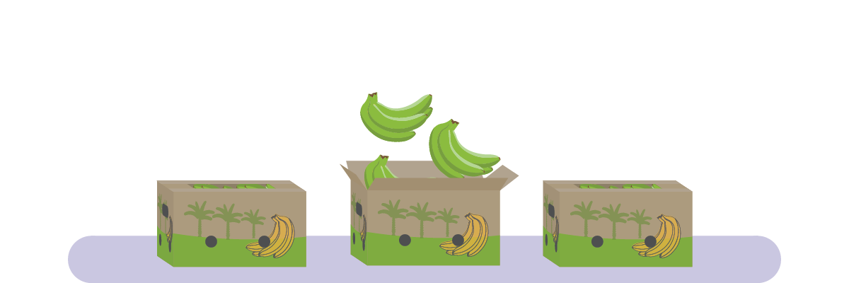 Bananas being boxed for shipping. Illustration by Xristopher Anderton.