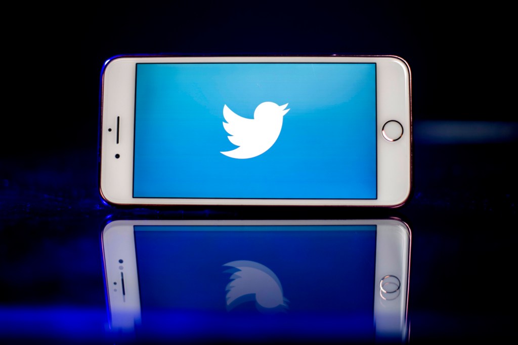 The Twitter logo on a phone.