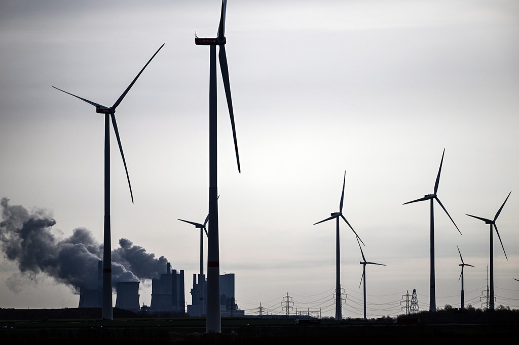 field of windmills