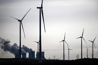 field of windmills