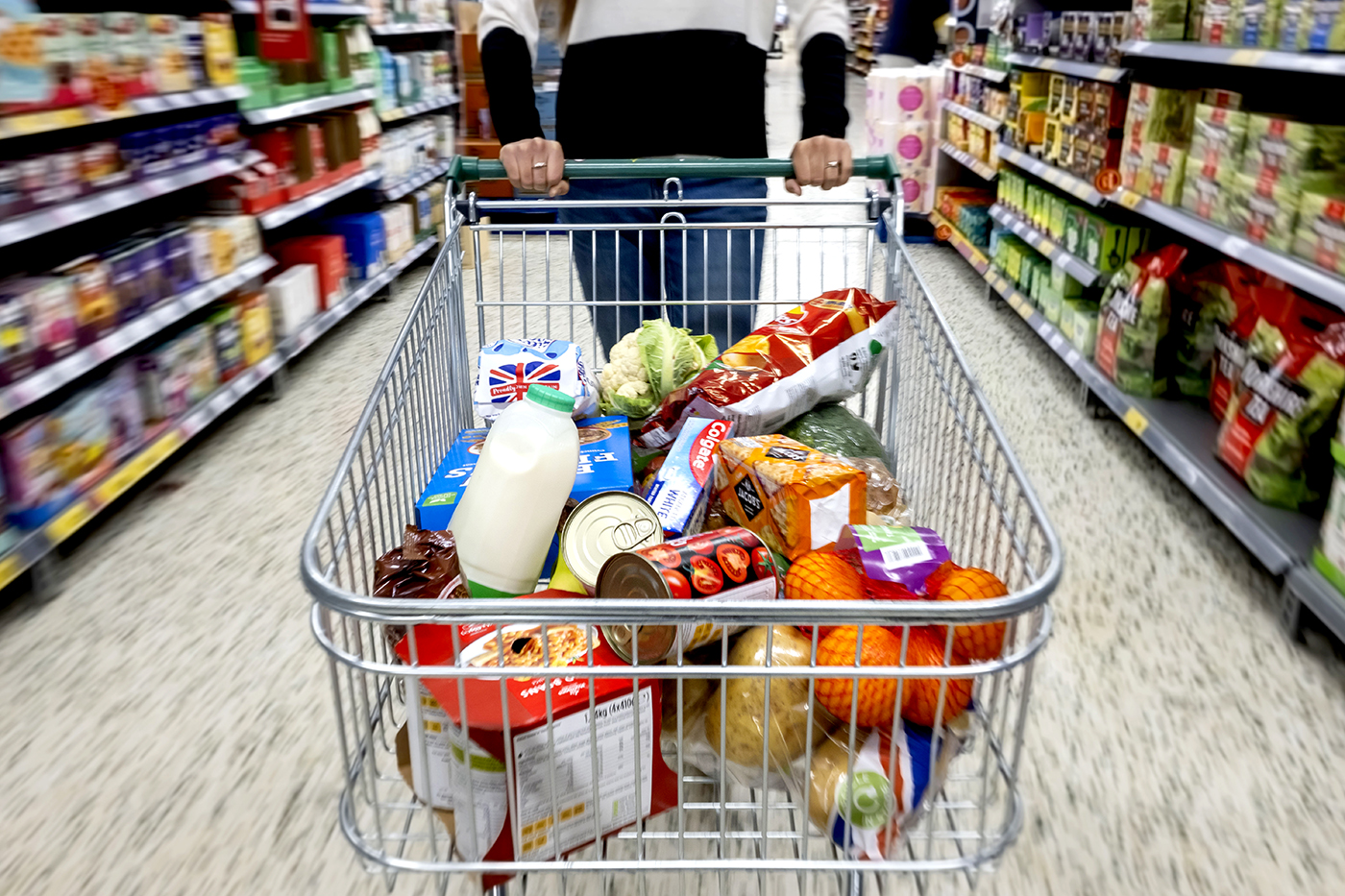 shopping cart full of groceries