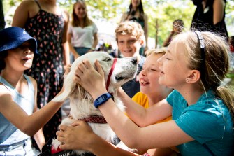 kids play with a golden retriever service dog