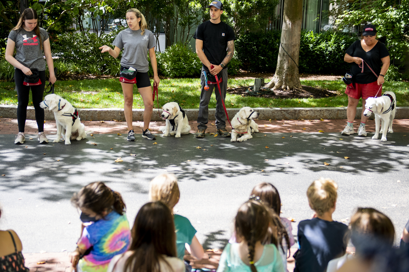 Trainers lined up with their service dogs