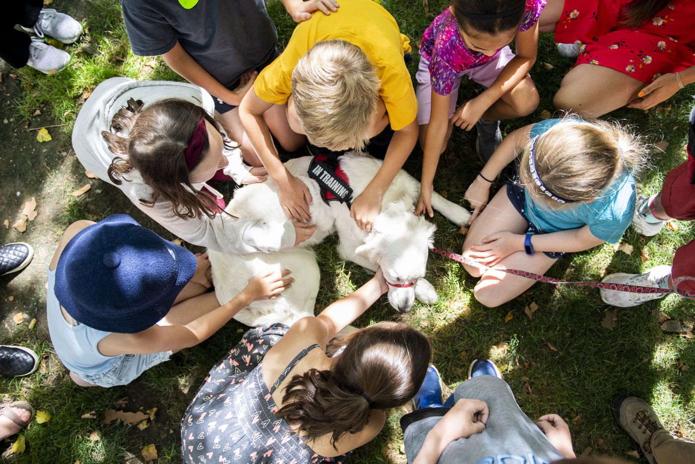 Children surrounding and petting a dog
