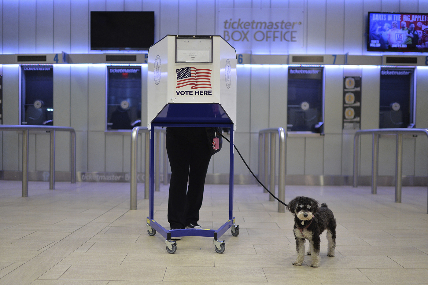 Someone in a voting booth