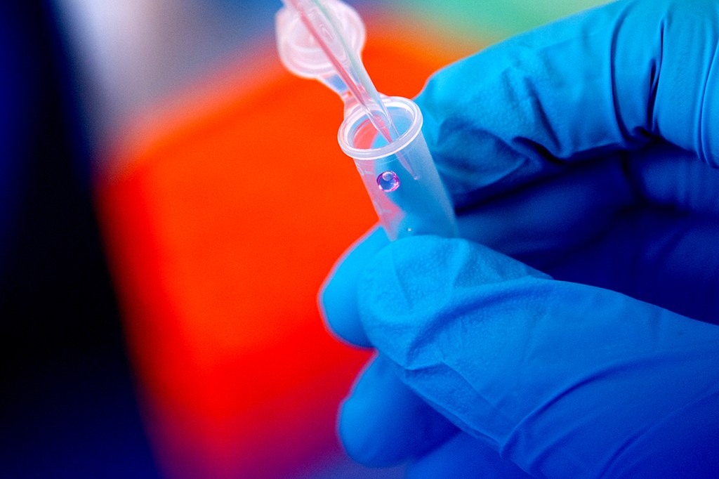 hand wearing blue glove holds small clear tube