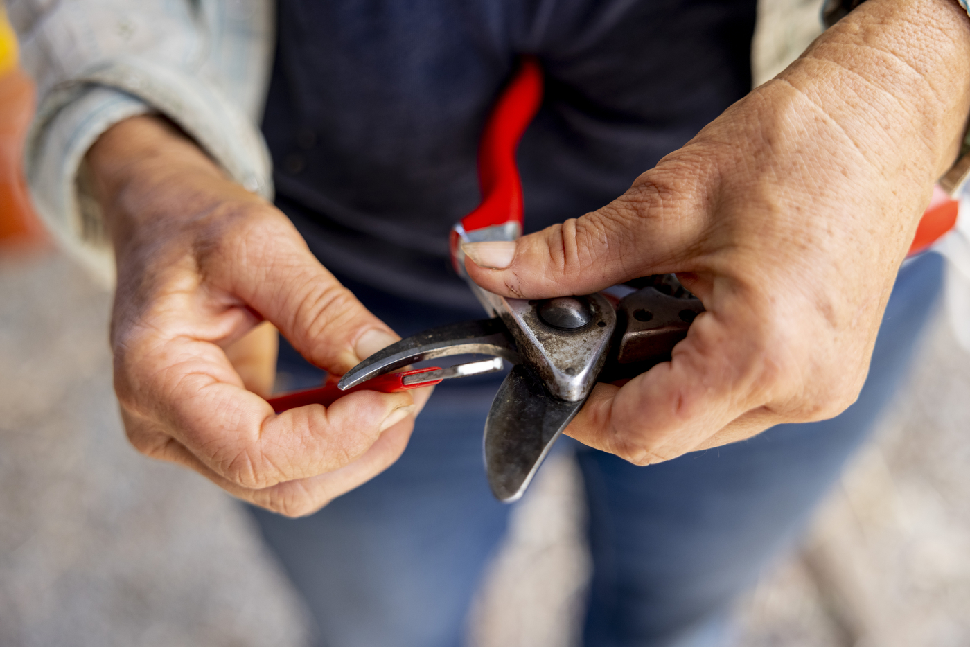 Two hands are holding a pair of red pliers, 