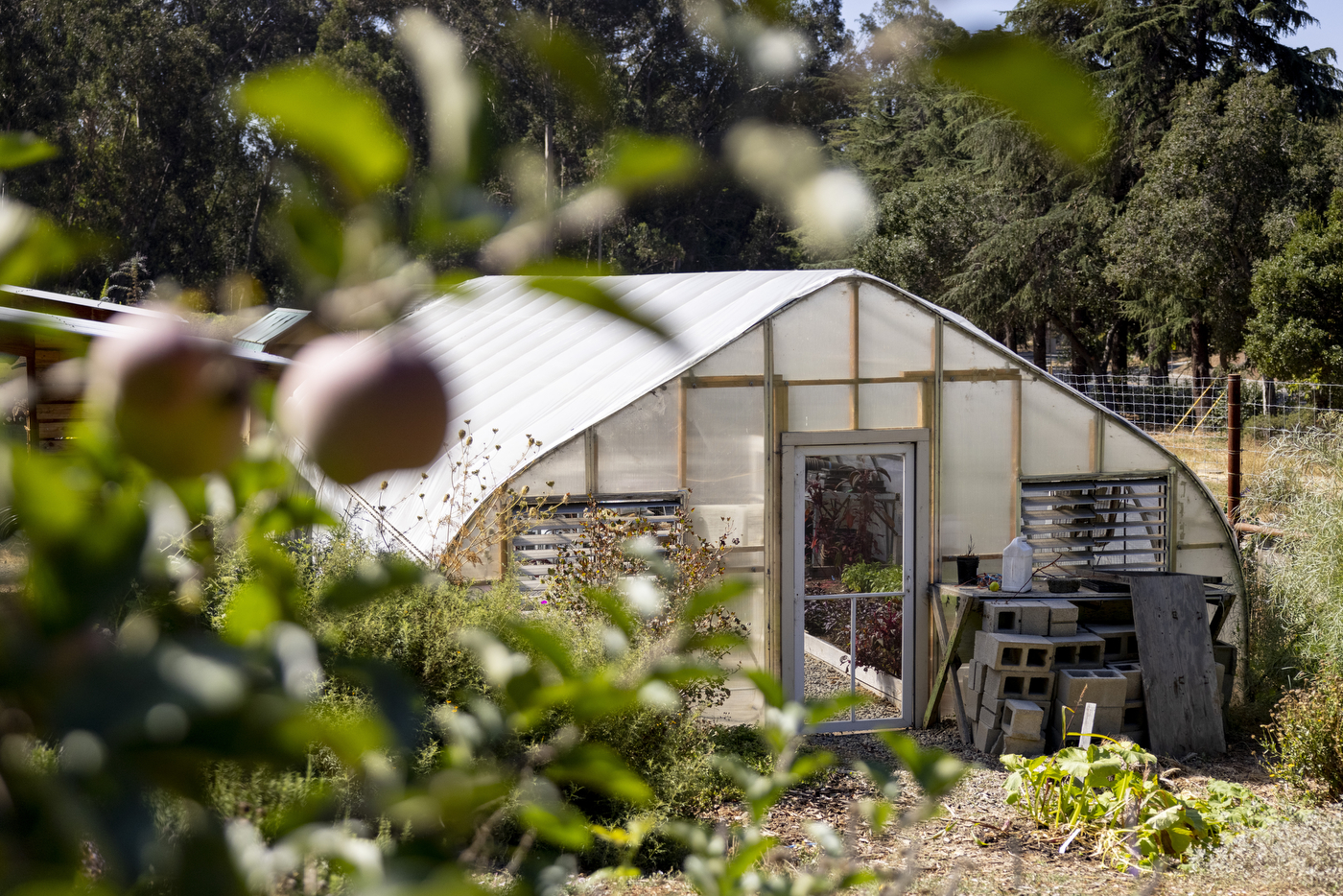 A greenhouse on Northeastern's Oakland campus farm.