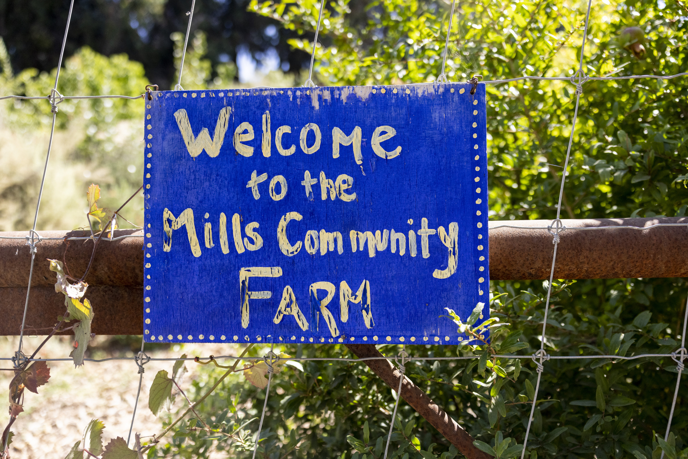 A blue sign with white text is nailed to a fence on Northeastern's Oakland campus farm: "Welcome to the Mills Community Farm