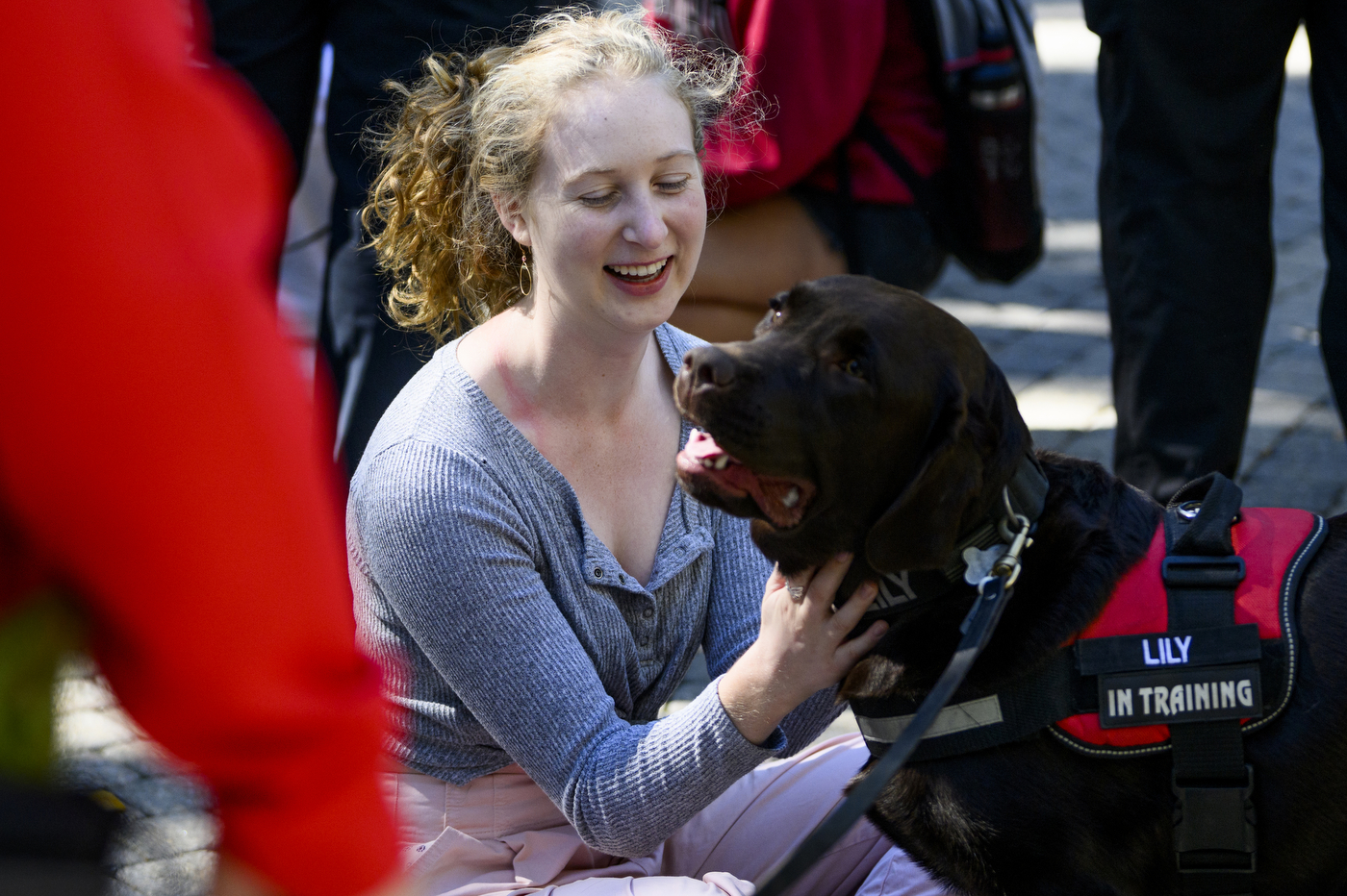 A person wearing a grey shirt is petting a black service dog.