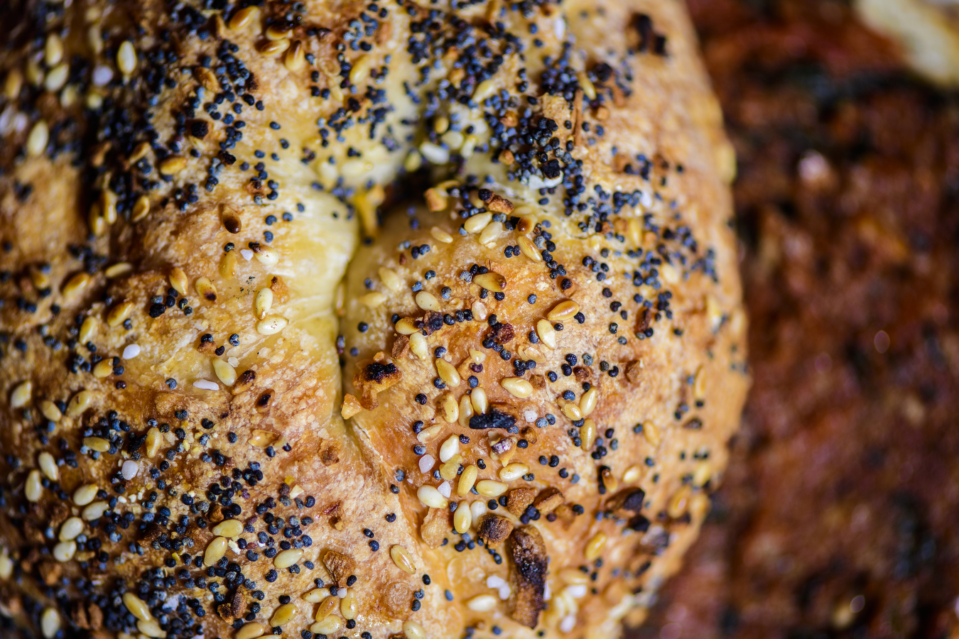 sesame and poppyseed bagel