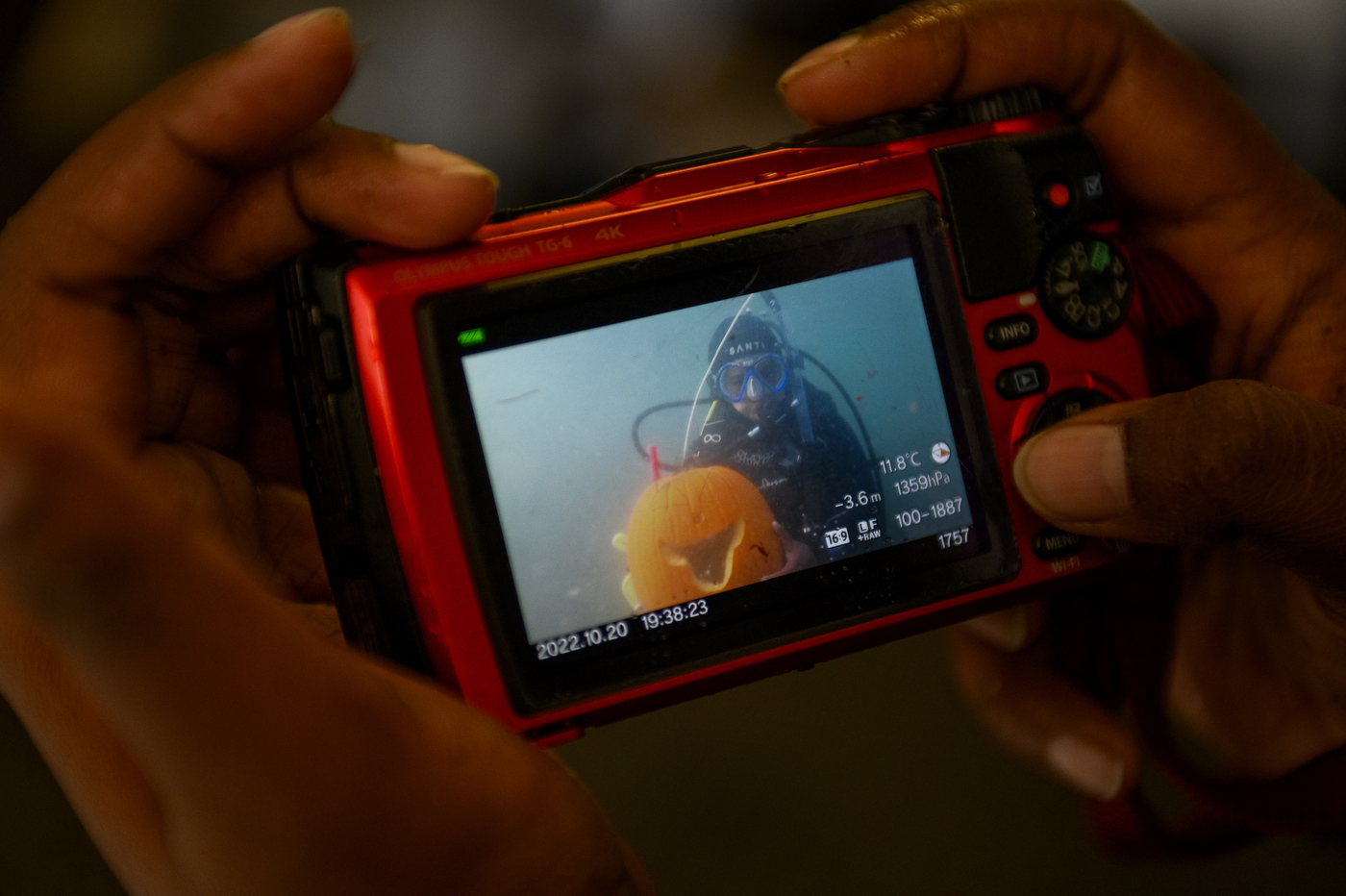 photo of a camera with an underwater photo on the screen