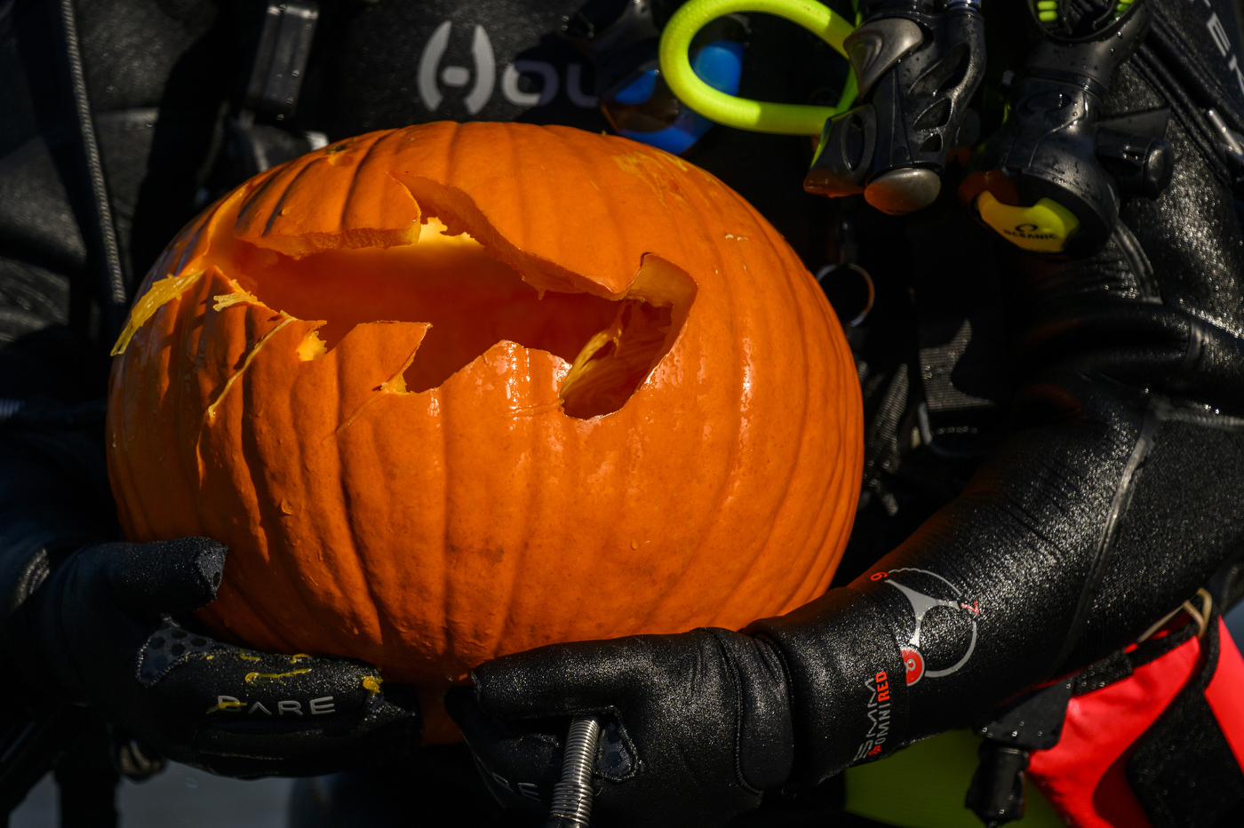 pumpkin with a hammerhead shark carved into it