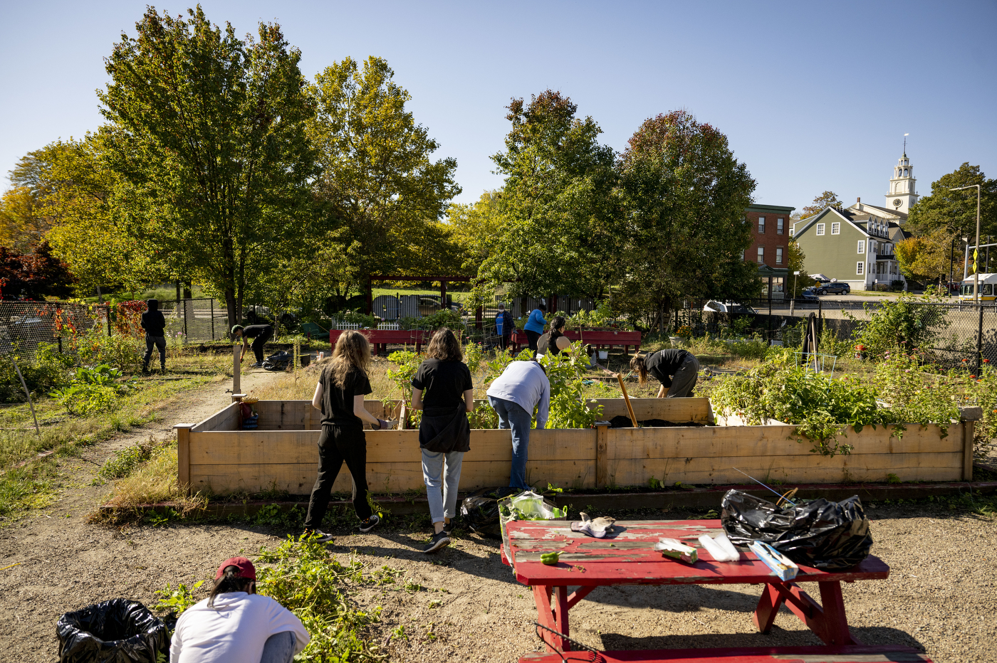 students working in a garden