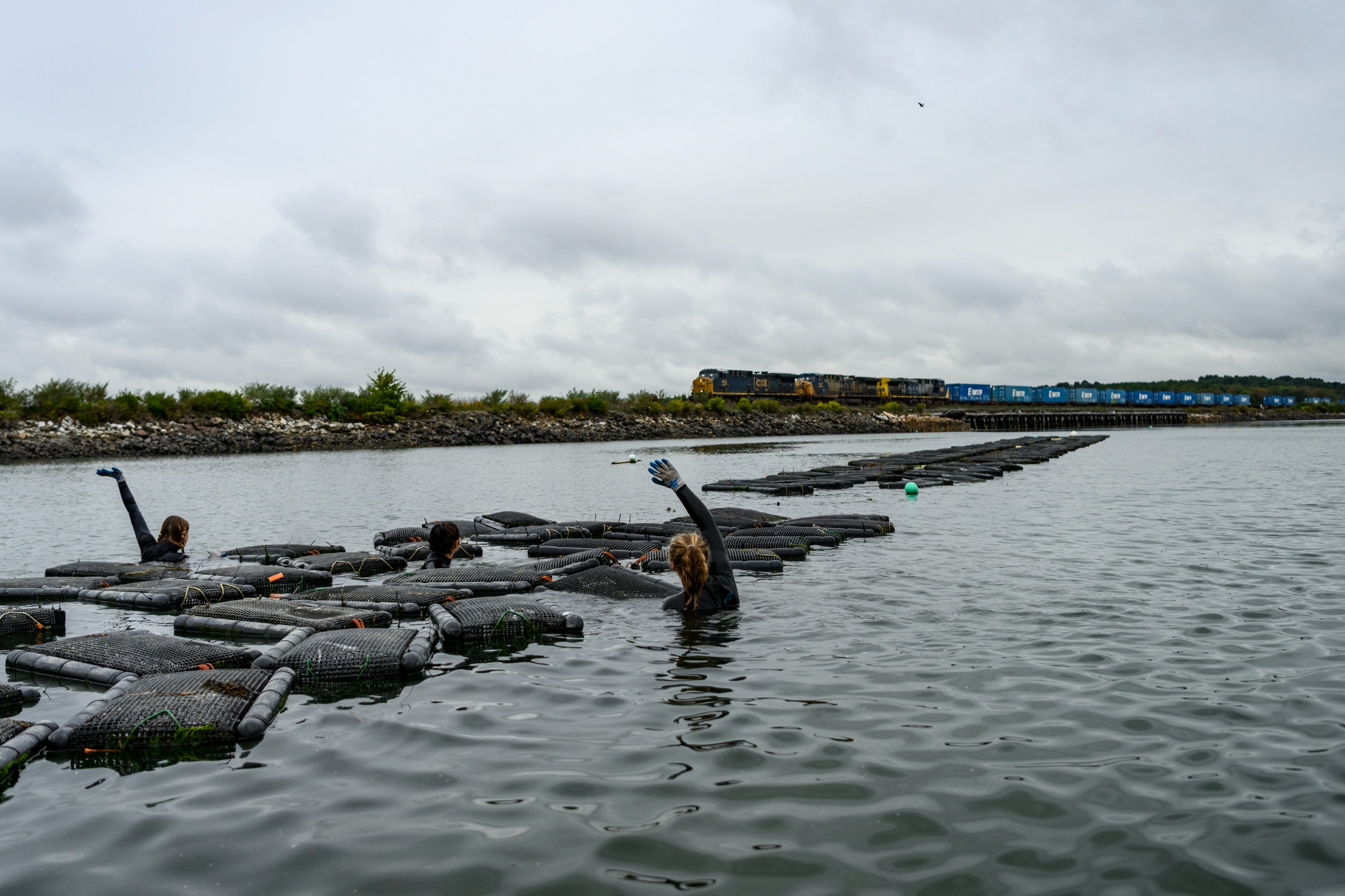 Northeastern students in the water wearing wetsuits wave to a passing train.