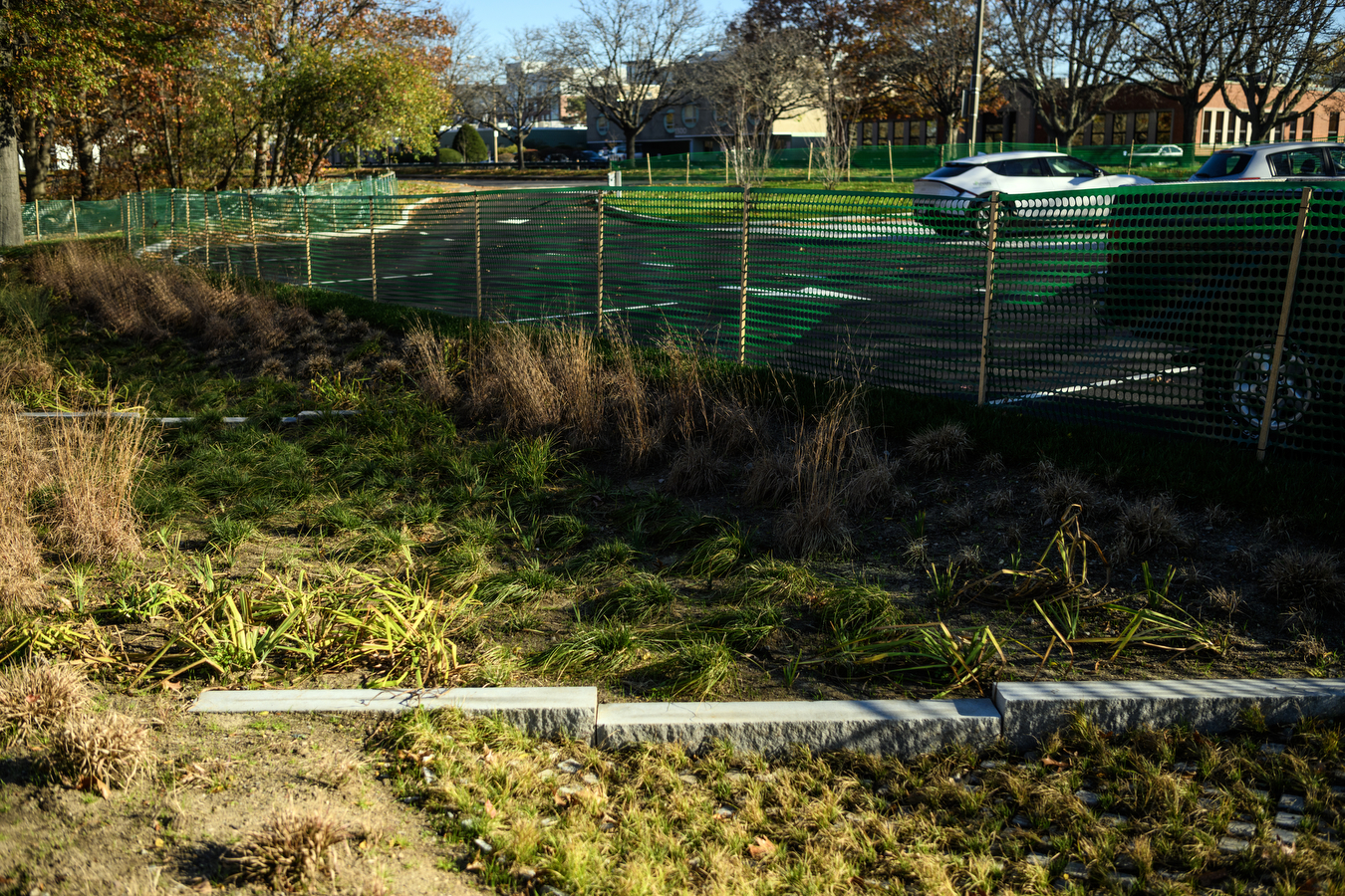 a fence separates a parking lot from landscaped plants