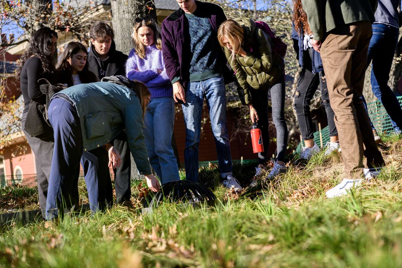 students explore a sustainable landscape design