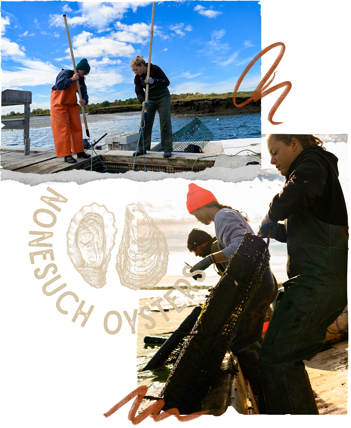 Collage depicting how large bags of oysters are hoisted out of the water. 