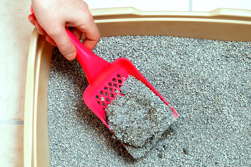 hand scooping litter box