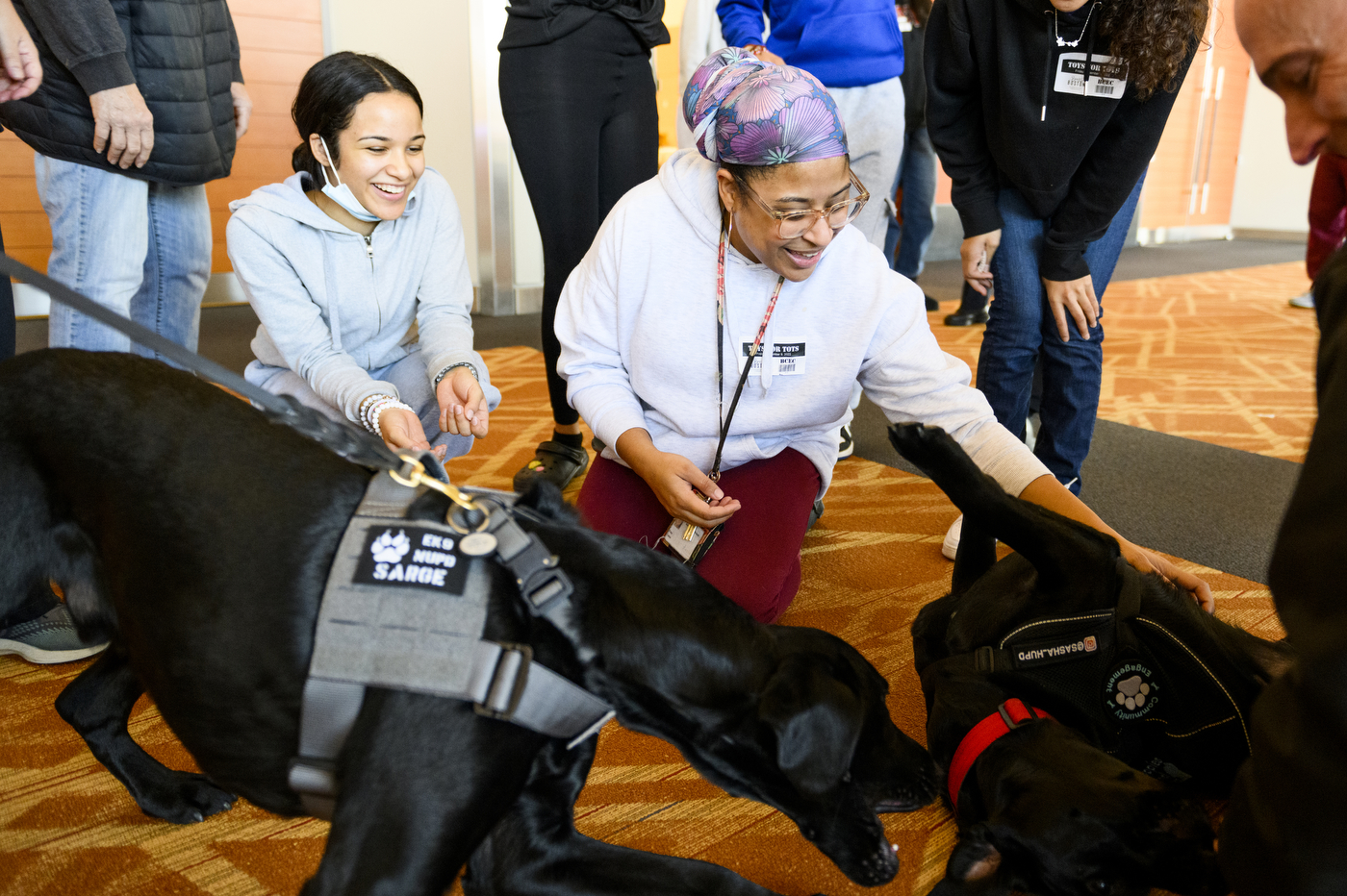 people petting dogs