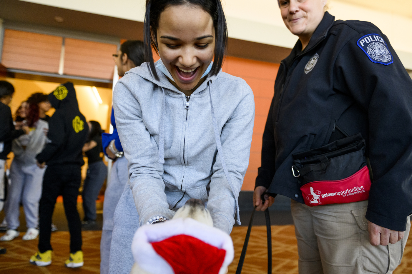 person petting dog in santa hat